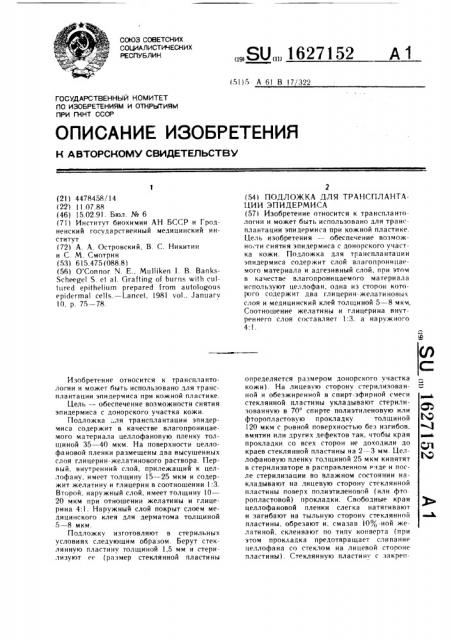Подложка для трансплантации эпидермиса (патент 1627152)