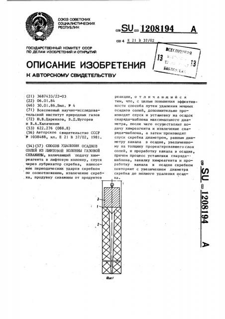 Способ удаления осадков солей из лифтовой колонны газовой скважины (патент 1208194)