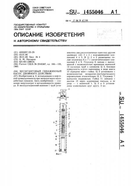 Бесштанговый скважинный насос двойного действия (патент 1455046)