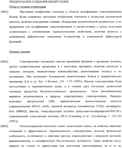 Конструкции слияния и их применение для получения антител с повышенными аффинностью связывания fc-рецептора и эффекторной функцией (патент 2407796)