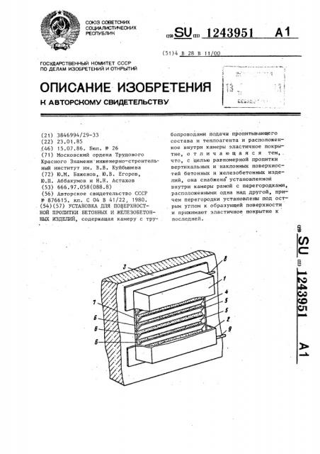 Установка для поверхностной пропитки бетонных и железобетонных изделий (патент 1243951)