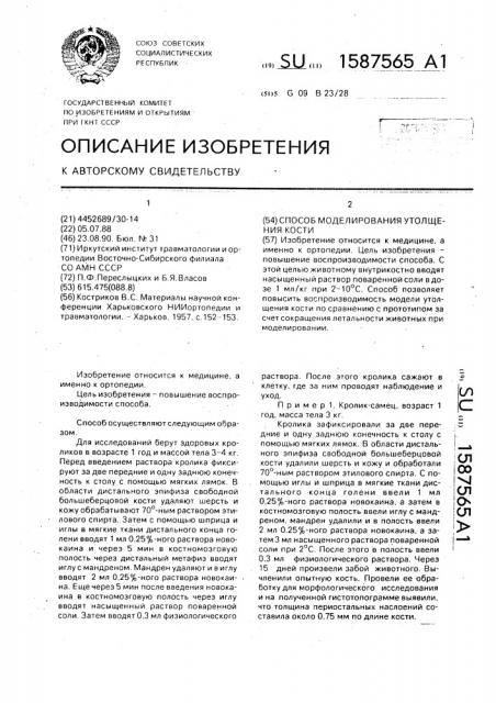 Способ моделирования утолщения кости (патент 1587565)