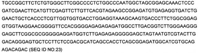 Сигнальные пептиды тат для продукции белков в прокариотах (патент 2487937)