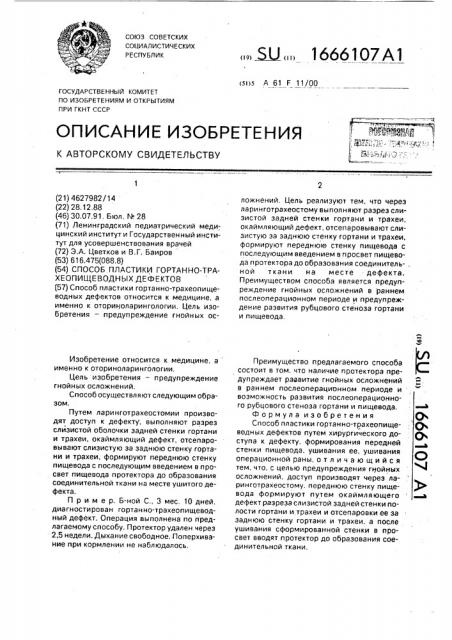 Способ пластики гортанно-трахеопищеводных дефектов (патент 1666107)