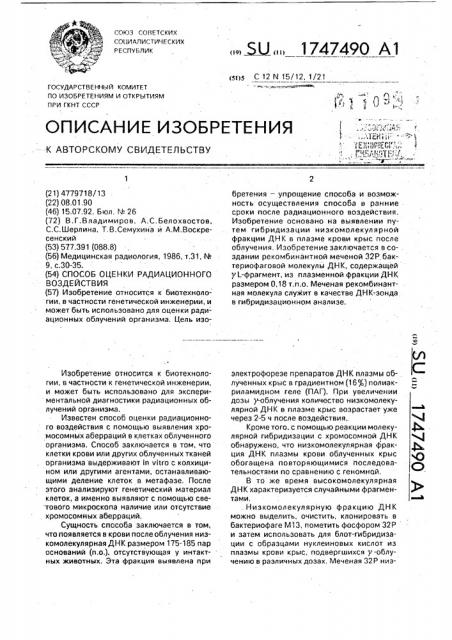 Способ оценки радиационного воздействия (патент 1747490)