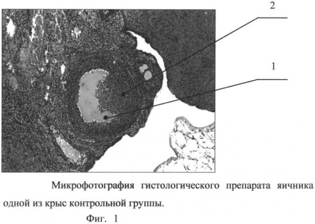 Способ моделирования синдрома хронической ановуляции (патент 2527166)