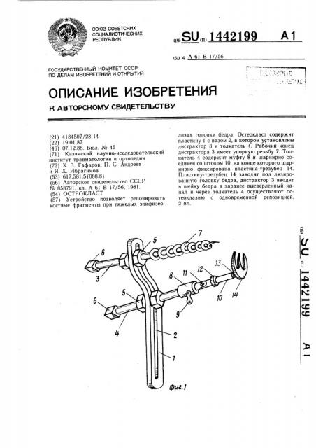 Остеокласт (патент 1442199)