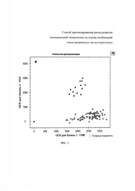 Способ прогнозирования риска развития эссенциальной гипертензии на основе комбинаций генов матриксных металлопротеиназ (патент 2624480)