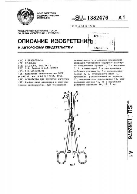 Устройство для вскрытия абсцесса (патент 1382476)