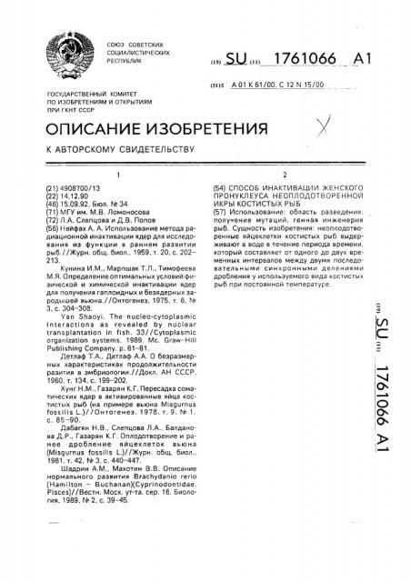 Способ инактивации женского пронуклеуса неоплодотворенной икры костистых рыб (патент 1761066)