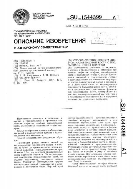 Способ лечения дефекта диафиза малоберцовой кости с подвывихом сопы кнаружи (патент 1544399)