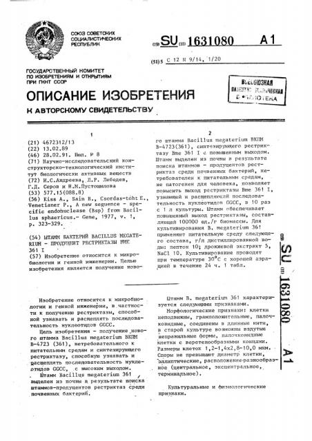 Штамм бактерий bacillus меgатеriuм - продуцент рестриктазы вме 361 i (патент 1631080)