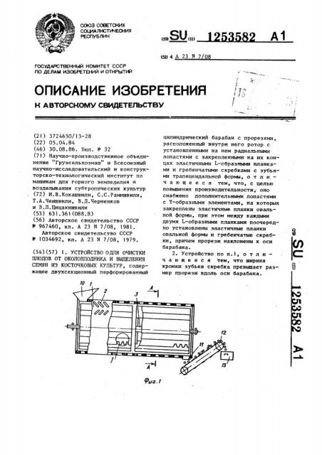 Устройство для очистки плодов от околоплодника и выделения семян из косточковых культур (патент 1253582)