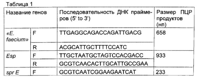 Способ профилактики постинфекционного синдрома раздраженной кишки (патент 2553372)