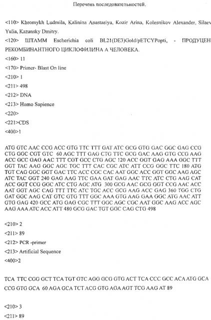 Штамм escherichia coli bl21(de3)gold/petcypopti - продуцент рекомбинантного циклофилина а человека (патент 2603283)