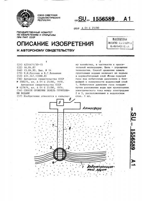 Способ орошения земель грунтовыми водами (патент 1556589)