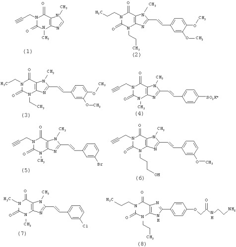 Селективные антагонисты аденозинового рецептора a2a для изготовления лекарственного средства для лечения фибрилляции предсердий (патент 2445099)