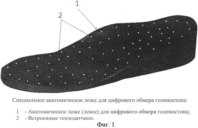 Устройство специального анатомического ложа для цифрового обмера голеностопа (патент 2596517)
