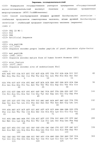 Способ конструирования штаммов дрожжей saccharomyces cerevisiae - стабильных продуцентов соматотропина человека, штамм дрожжей saccharomyces cerevisiae - стабильный продуцент соматотропина человека (варианты) (патент 2420567)