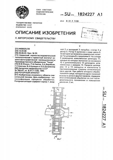 Роторный аппарат (патент 1824227)