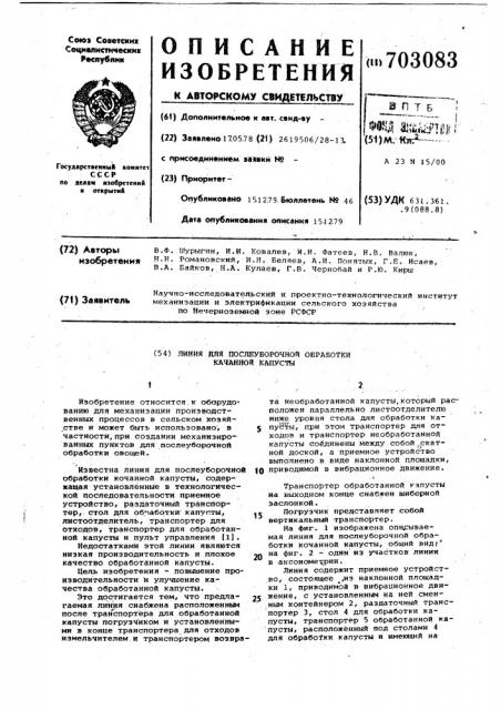 Линия для послеуборочной обработки качанной капусты (патент 703083)
