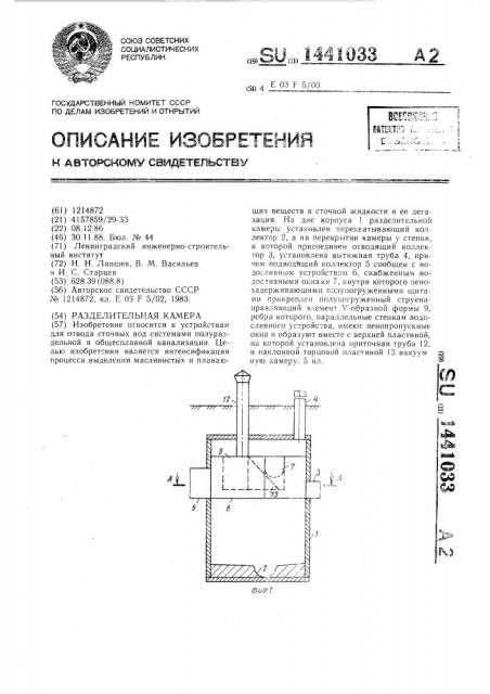 Разделительная камера (патент 1441033)