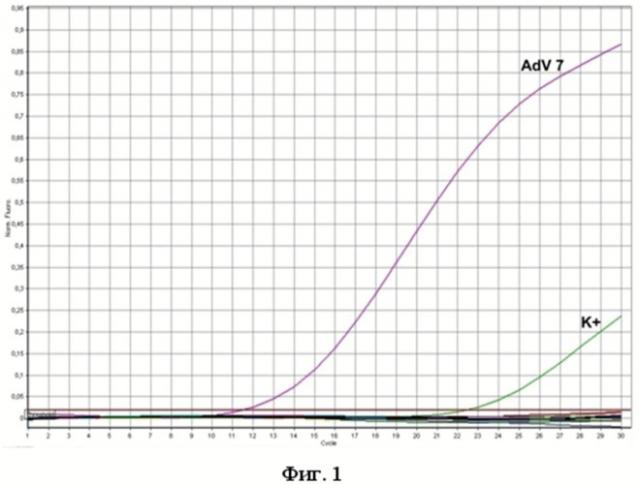 Набор олигодезоксирибонуклеотидных праймеров и флуоресцентно-меченого зонда для идентификации днк аденовируса серотипов 3,4,7,14,21 методом гибридизационно-флуоресцентной полимеразной цепной реакции (патент 2511043)