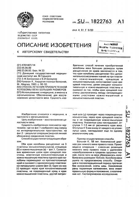 Способ лечения приобретенной колобомы века больших размеров (патент 1822763)