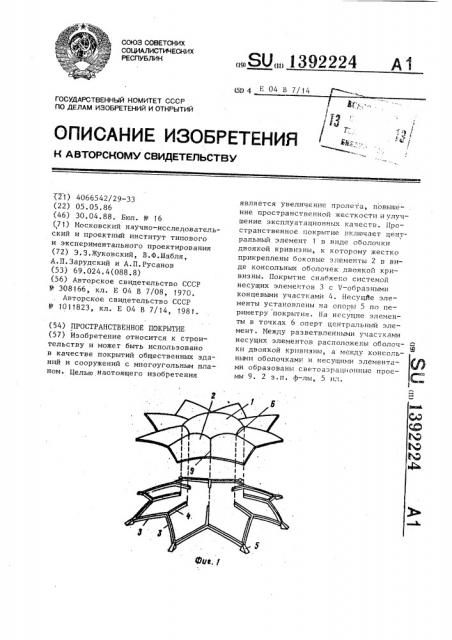 Пространственное покрытие (патент 1392224)