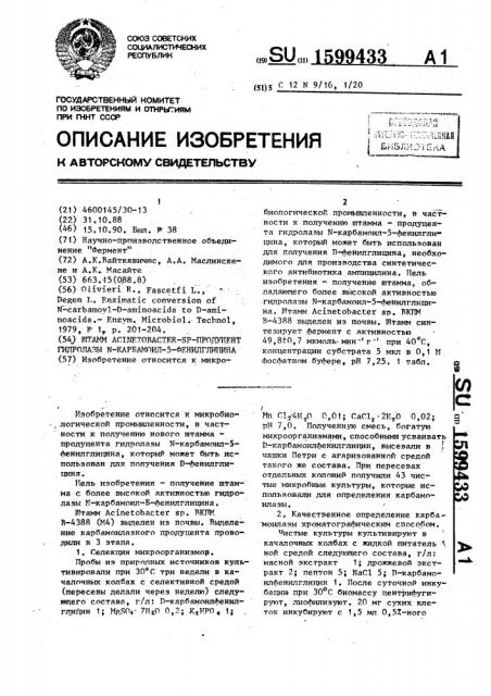 Штамм асinетовастеr @ р.-продуцент гидролазы n-карбамоил-5- фенилглицина (патент 1599433)