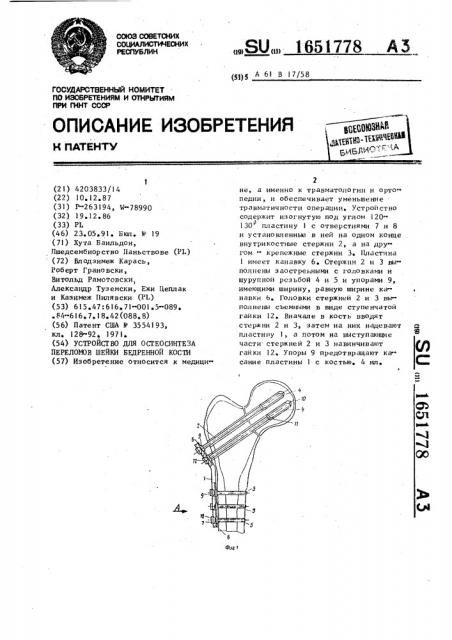 Устройство для остеосинтеза переломов шейки бедренной кости (патент 1651778)