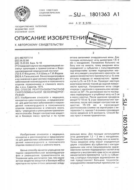 Способ рентгеноконтрастной сакролюмбальной веноэпидурографии (патент 1801363)