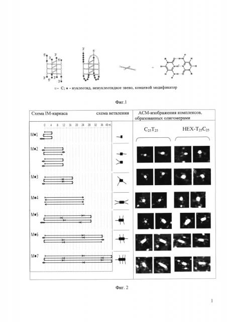 Способ получения рн-чувствительных разветвленных узлов днк-наноконструкций (патент 2649369)