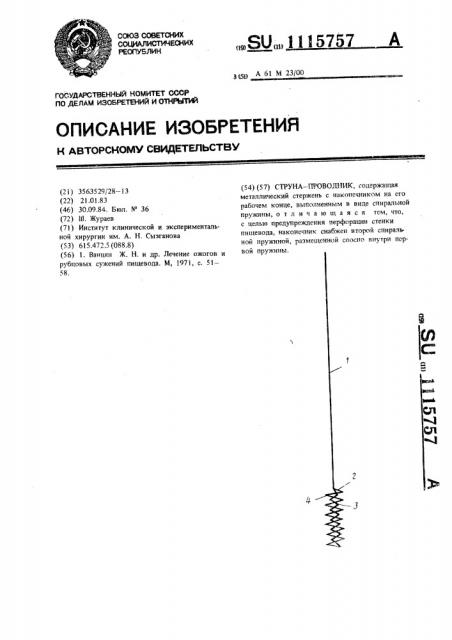 Струна-проводник (патент 1115757)