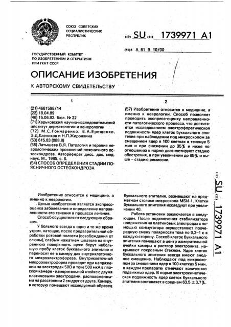 Способ определения стадии поясничного остеохондроза (патент 1739971)