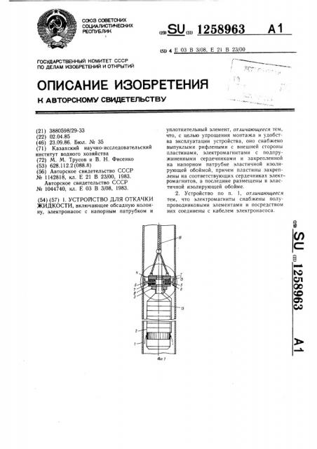 Устройство для откачки жидкости (патент 1258963)