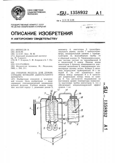 Учебная модель для демонстрации функции дыхательного аппарата (патент 1358932)