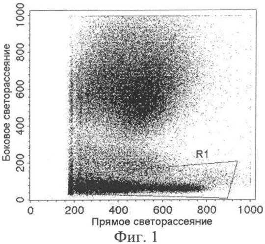 Способ оценки радиочувствительности рака верхних дыхательных путей (патент 2505817)