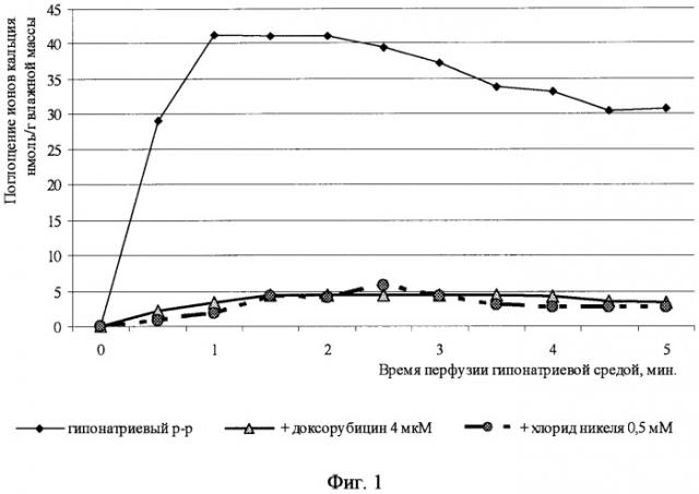 Способ одновременной регистрации na+-зависимых потоков ca2+ и функционального состояния целого изолированного сердца в эксперименте (патент 2400825)