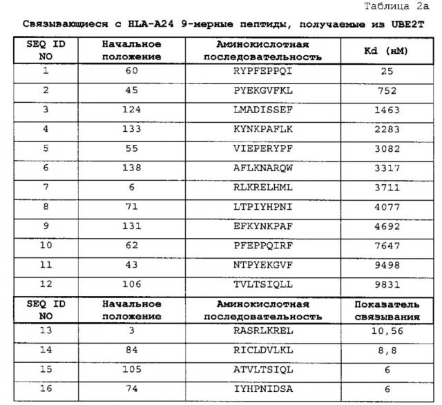 Пептиды ube2t и содержащие их вакцины (патент 2663350)