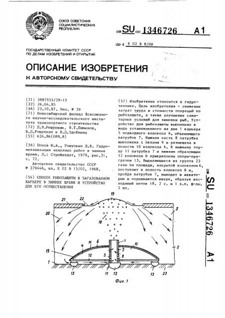 Способ рыбозащиты в загазованном карьере в зимнее время и устройство для его осуществления (патент 1346726)