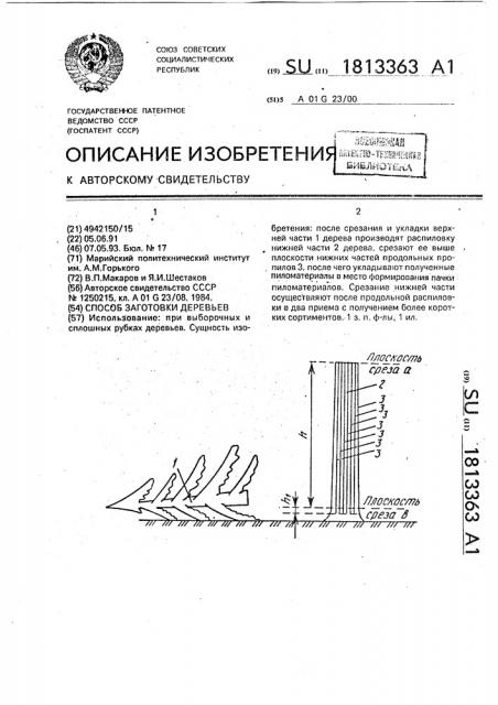 Способ заготовки деревьев (патент 1813363)