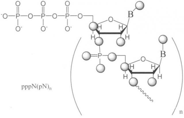 Способ получения солей 5'-трифосфатов природных и модифицированных дезоксирибо- и рибоолигонуклеотидов (патент 2348643)