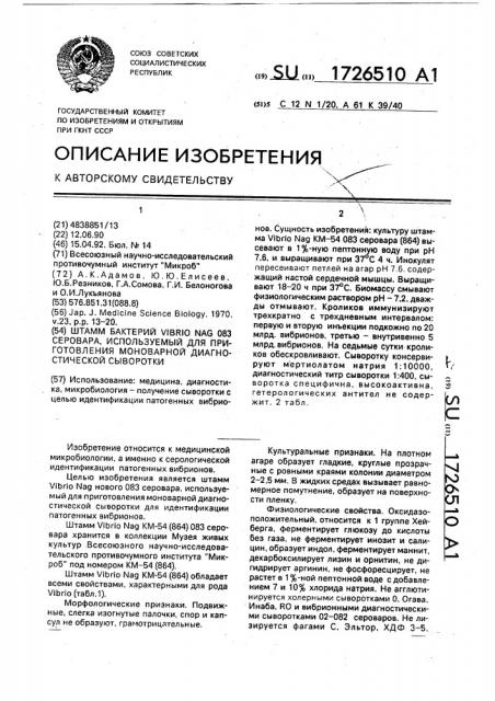 Штамм бактерий viвriо nag 083 серовара, используемый для приготовления моноварной диагностической сыворотки (патент 1726510)