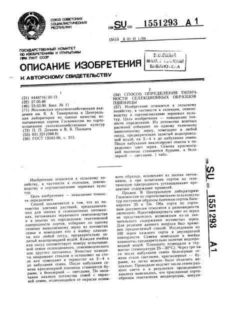 Способ определения типичности селекционных образцов пшеницы (патент 1551293)