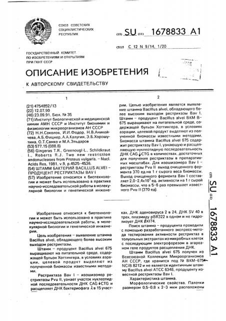 Штамм бактерий bacillus alvei - продуцент рестриктазы в @ 1 (патент 1678833)