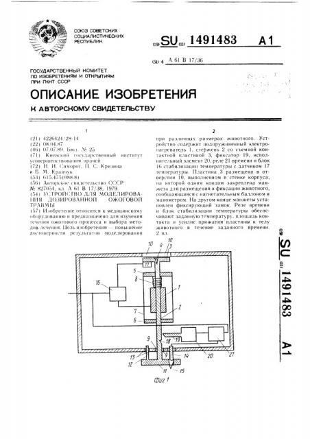 Устройство для моделирования дозированной ожоговой травмы (патент 1491483)