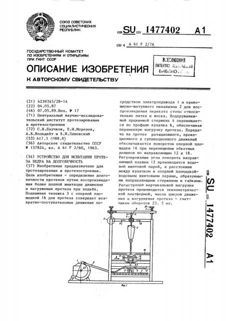 Устройство для испытания протеза бедра на долговечность (патент 1477402)