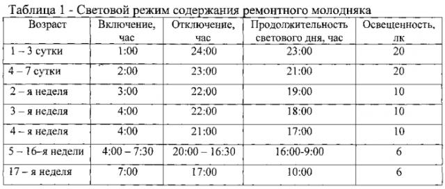 Способ борьбы с гиподинамией ремонтного молодняка яичных кур (патент 2550061)