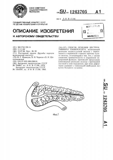 Способ лечения деструктивного панкреатита (патент 1243705)